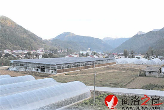 現(xiàn)代農(nóng)業(yè)園區(qū)，農(nóng)民抱團(tuán)闖市場(chǎng)的基地。
