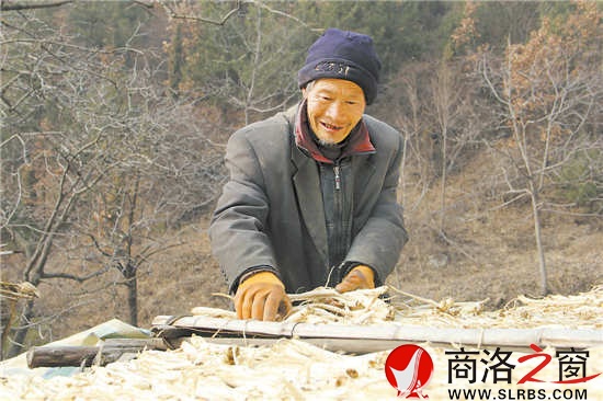 天氣暖和了，何長財一邊曬太陽，一邊收拾挖回來的藥材。