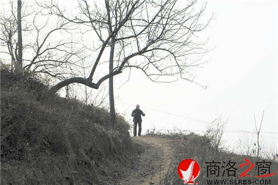 我們離開時，吳桂香送出很遠(yuǎn)。我們已經(jīng)走遠(yuǎn)，山梁上那孤獨(dú)的身影久久不肯離去。