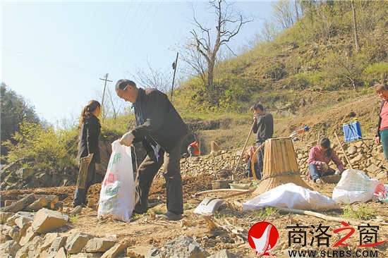 正是種豬苓的時候,田地里隨處可見種植的農(nóng)戶。