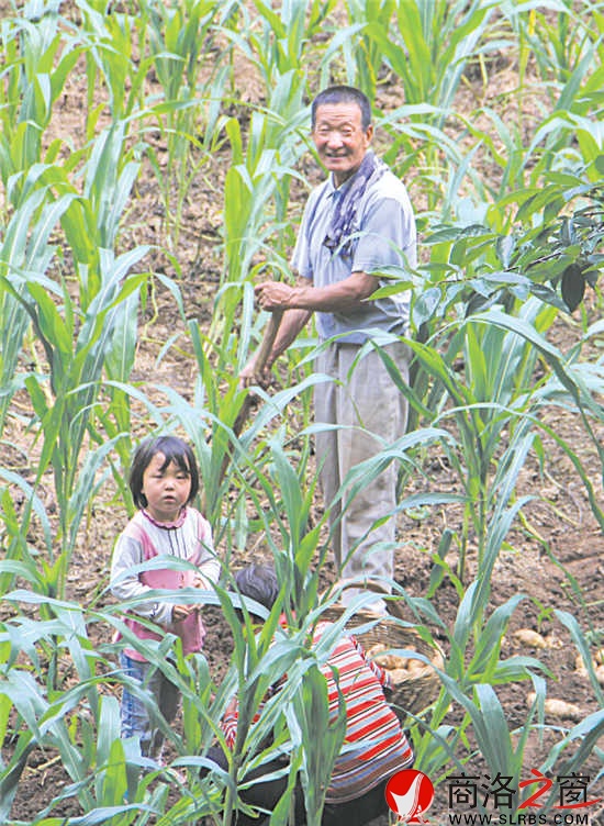 在石灰岔，最珍貴的還是土地。每到收獲季節(jié)，外出務工的村民總會匆匆趕回來收割莊稼。幾天之后，他們會再次踏上征程。