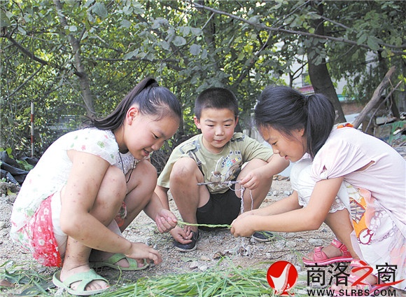 黃沙嶺腳下，胡昊和小伙伴們正在給一只小鳥用草編籠子。