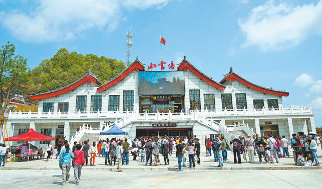 鎮(zhèn)安 實施“林業(yè)+”發(fā)展戰(zhàn)略 推進生態(tài)產(chǎn)品價值轉(zhuǎn)化