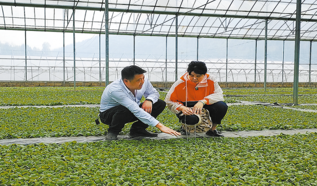 鄉(xiāng)風(fēng)文明看巖屋