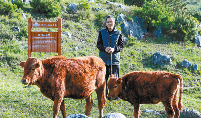 深秋走進北陽山