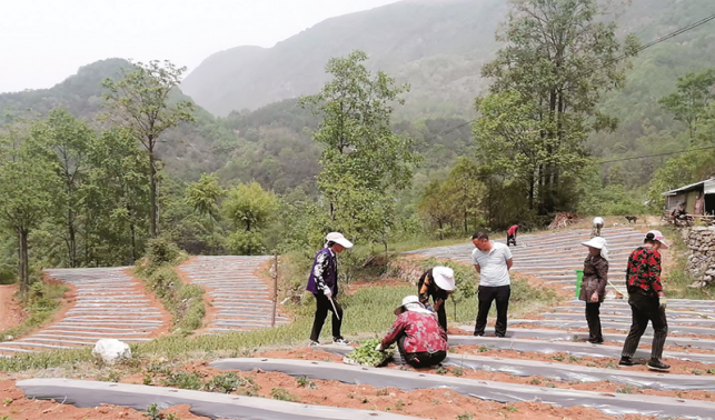 實事辦到群眾心坎上