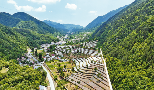 生態(tài)烤煙富農(nóng)家 繪就鄉(xiāng)村新圖景