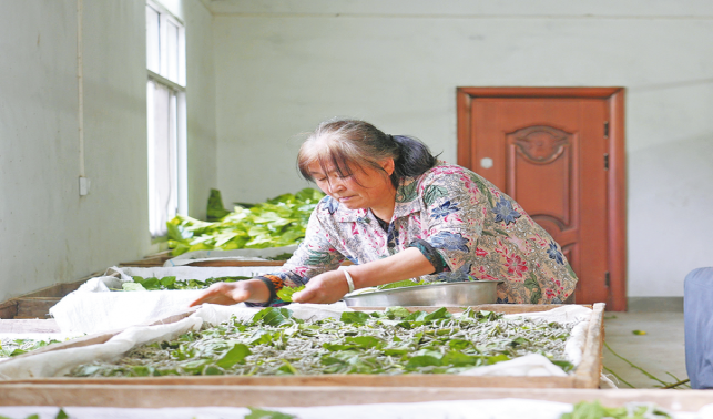 蠶?？椌椭赂宦?>
        <div   id=