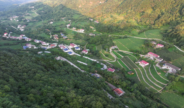 聯盟村的蝶變之路