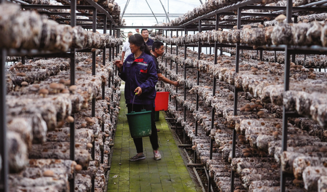 群眾幸福生活有奔頭