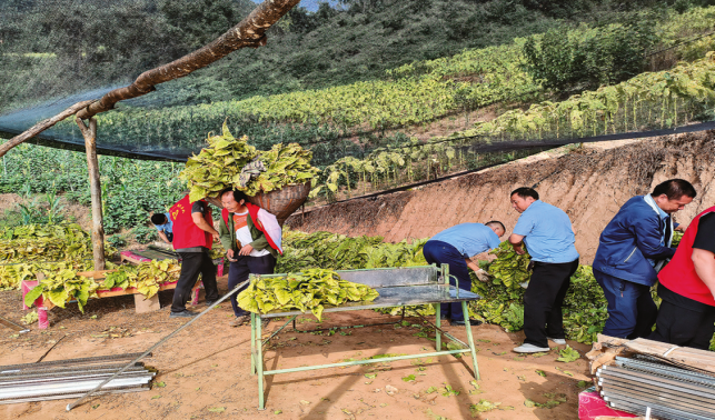 雙喜村里氣象新