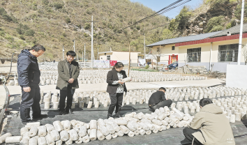 夯實木耳基礎 助力鄉(xiāng)村振興