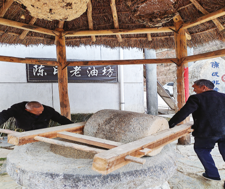 百年油坊：承載新夢想 蘊藏新商機
