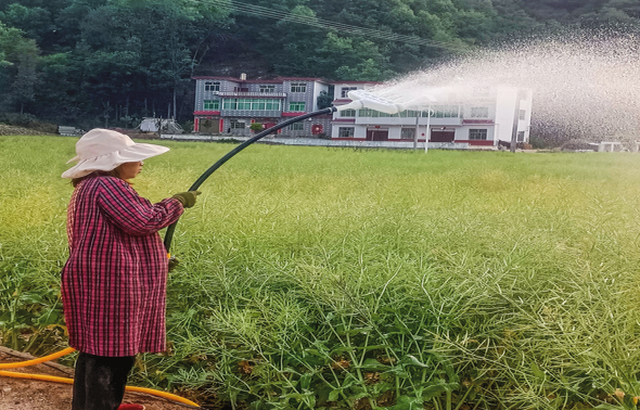杏坪鎮(zhèn)鎮(zhèn)村干部全力抗旱