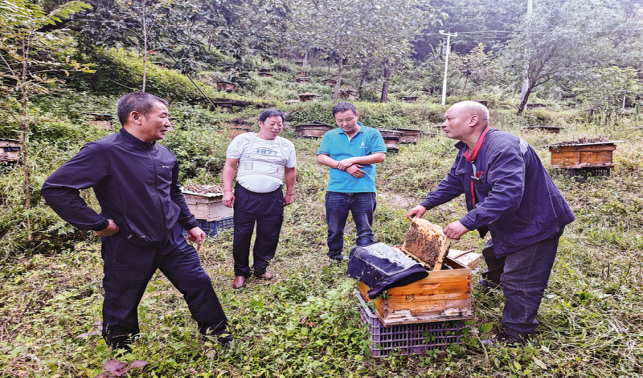 家園美了，日子甜了